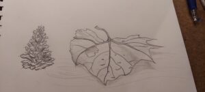 Sketching